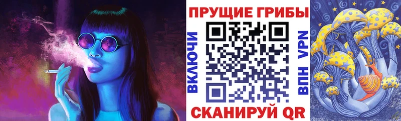 Псилоцибиновые грибы MAGIC MUSHROOMS  где продают наркотики  Лысково 