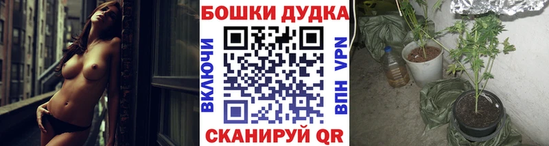 Марихуана Bruce Banner  Лысково 